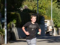 IMG 0137