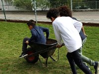 IMG 3707