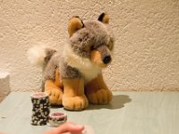 IMG 0001 001142