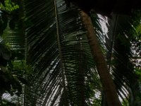 IMG 0160